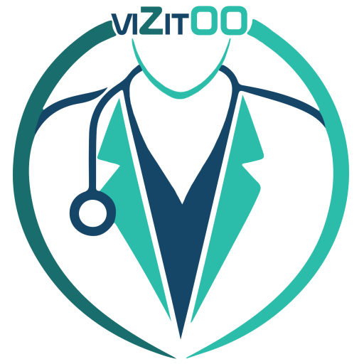 Vizitoo Logo